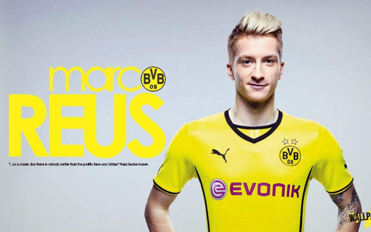 包含多特蒙德迎NBA常规赛关键赛；今晚完成体检；目标明确；团队化学反应显著的词条